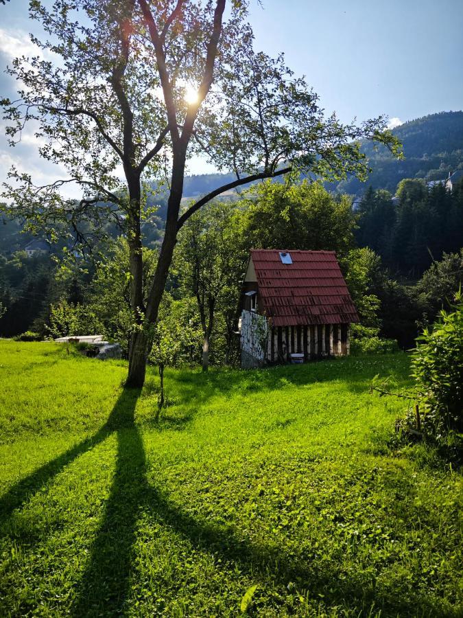 Mini Garden Vendégház Mojkovac Kültér fotó